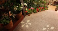 Ege Hotel