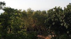 Bahab Guest House
