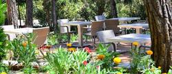 Peninsula Pineclub Boutique Hotel