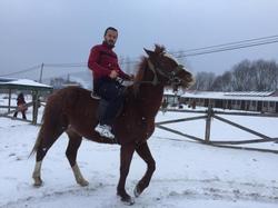 Emirbey Atli Turizm & Dogal Yasam Köyü