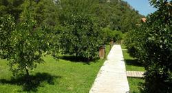 Azra Villas