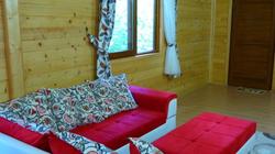 Cirali Simge Holiday Houses