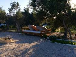 Assos Club Beyaz