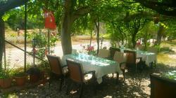 Mehmet Pension