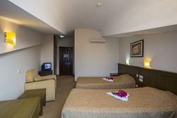Elamir Felizya Hotel