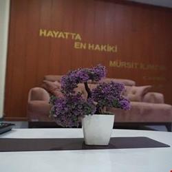 Özel Lidya Yüksek Egitim Istanbul Kiz Ögrenci Yurdu