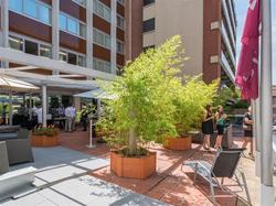 Hôtel Mercure Toulouse Centre Saint-Georges