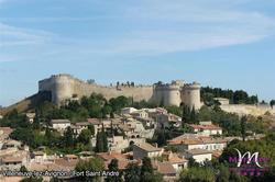 Mercure Pont D'Avignon Centre