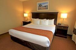 Comfort Suites Airport - Austin