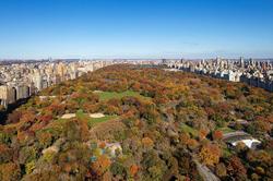 JW Marriott Essex House New York