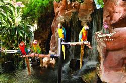 Flamingo Las Vegas
