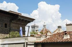 Milu Firenze