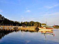 The Cabins at Disney's Fort Wilderness Resort