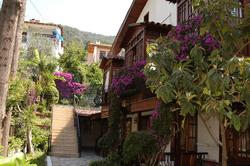 Villa Daffodil