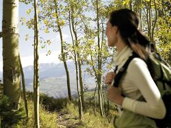 Sheraton Mountain Vista