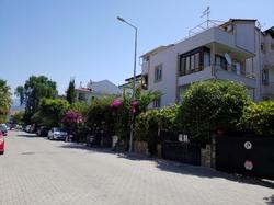 Kamelya 