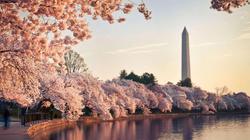 Grand Hyatt Washington