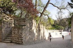 Des Arenes