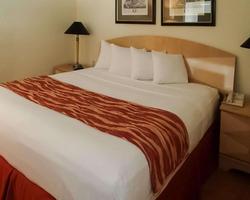 Rodeway Inn South Miami-Coral Gables