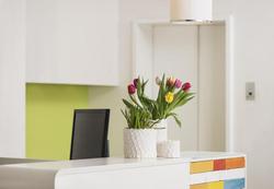 Creatif Hotel Elephant