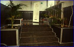 Meeting Ciampino