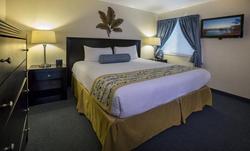 Sailport Resort Waterfront Suites on Tampa Bay
