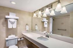 Wyndham Garden Dallas North