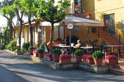 Orto di Roma