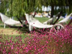 The Xanthe Resort & Spa