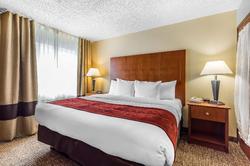 Comfort Suites North Dallas