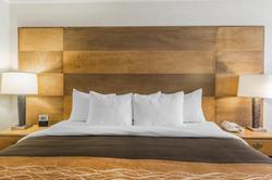 Comfort Inn & Suites Durango