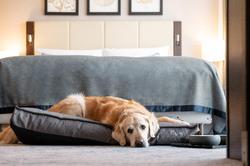KO59 DUSSELDORF - Hommage Luxury Hotels Collection