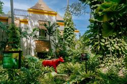 Paradox Resort Phuket