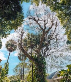 Paradox Resort Phuket