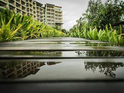 Royal Phala Cliff Beach Resort and Spa Rayong