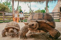 Thavorn Palm Beach Resort
