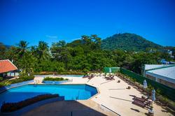 Phuket Merlin