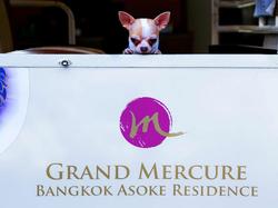Grand Mercure Asoke Residence