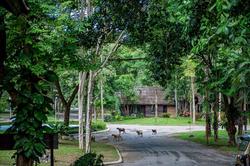 Legacy River Kwai Resort