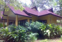Tonsai Bay Resort