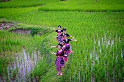 Hmong Hill Tribe Lodge Chiang Mai