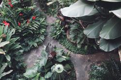 Shewe Wana Boutique Resort & Spa
