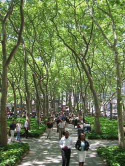 Bryant Park Hotel
