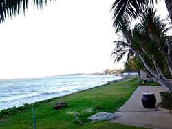 Milford Paradise