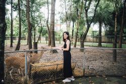 Horizon Village & Resort Chiang Mai