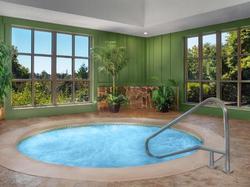 Marriott's Willow Ridge Lodge 