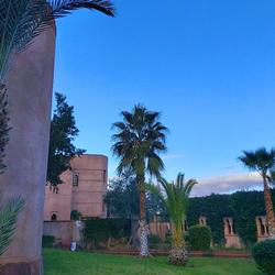 Riad La Maison des Oliviers