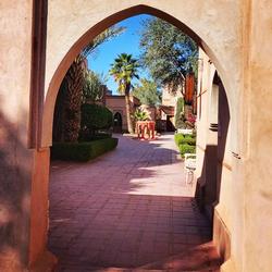 Riad La Maison des Oliviers