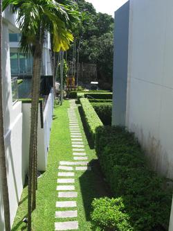 Sugar Palm Grand Hillside
