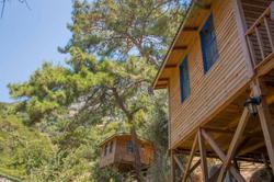 Gunes Holiday